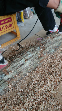 訪問介護サニーサイド