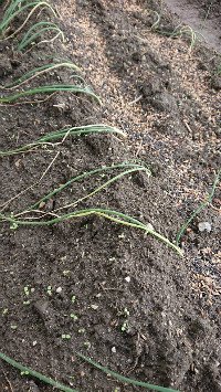 訪問介護サニーサイド