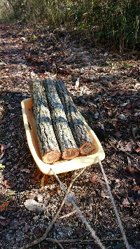 訪問介護サニーサイド