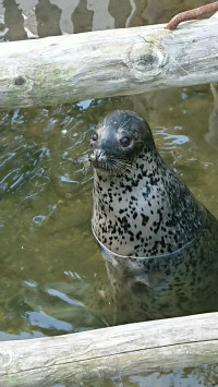 訪問介護サニーサイド